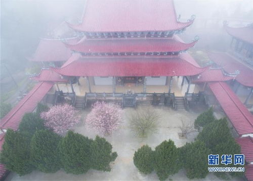 福州林阳寺祈福攻略