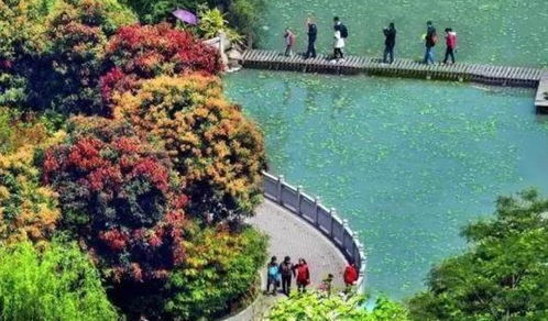 福州好玩打卡地