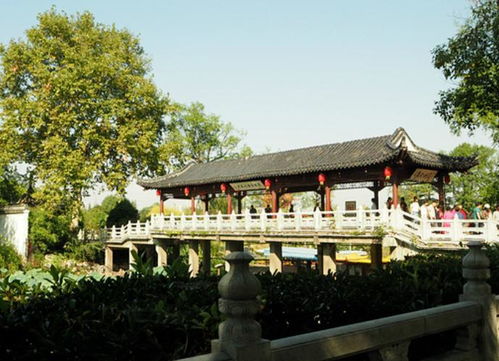 福州金山 公园好玩