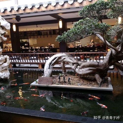 福州餐厅攻略旅游