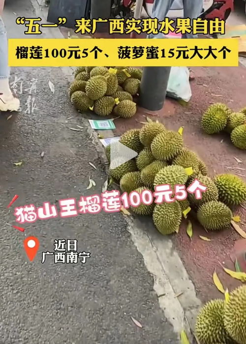 福州榴莲攻略视频