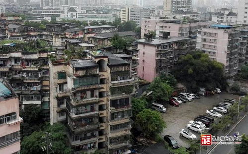福州租房苍山攻略