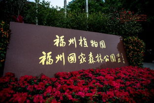 福州户内旅游攻略
