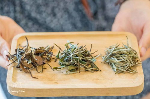 福州白茶怎么吃好吃