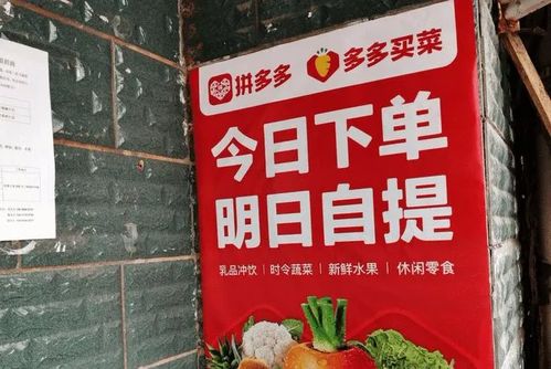 福州拼多多买菜攻略