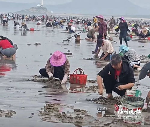 福建福州赶海攻略图