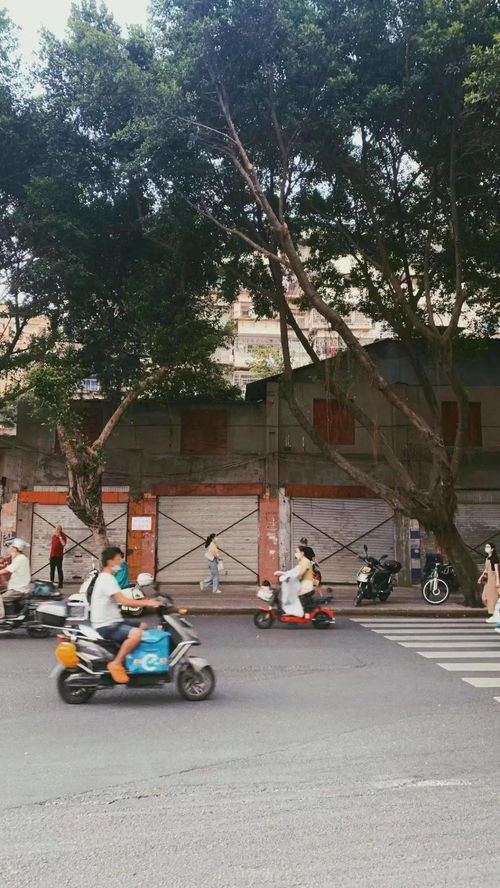福州索道哪家好吃点