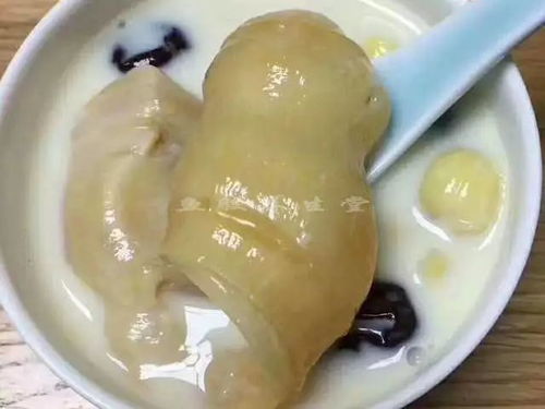 福州鱼胶怎么煮好吃