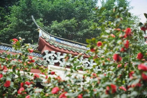 福州旅游攻略带娃