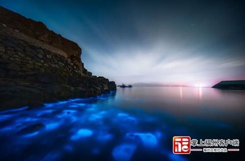 福州蓝眼泪旅游攻略