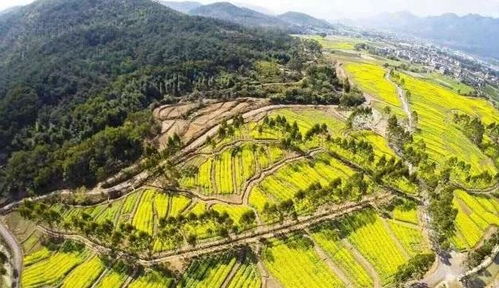福州盖山区哪里好玩