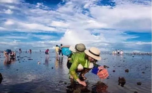 福州沙滩公园赶海攻略