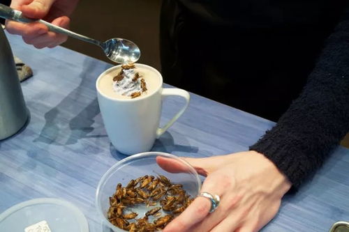 福州哪里露天泡茶好吃