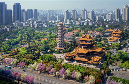 福州旅行攻略直播平台