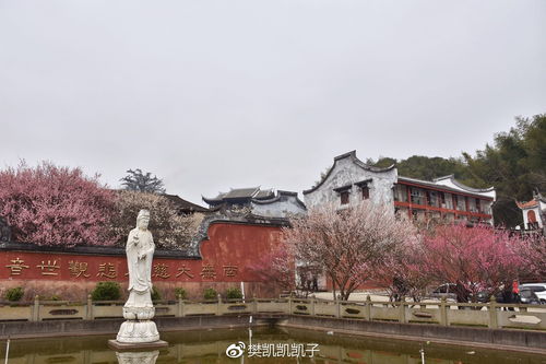 福州游玩攻略晋安路线