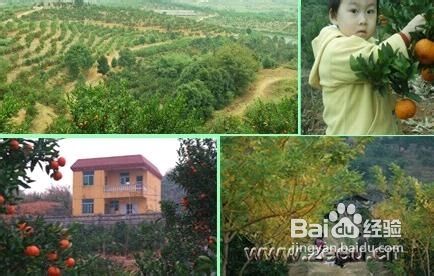 福州附近旅游攻略亲子