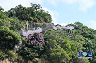 福州市区什么山好玩