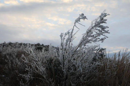 福州闽侯看雪攻略