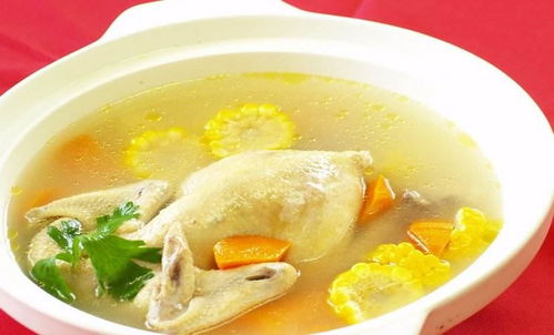福州三茸鸡汤哪家好吃