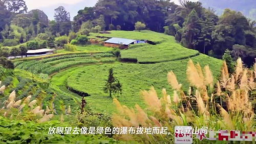 福州附近茶山好玩的地方