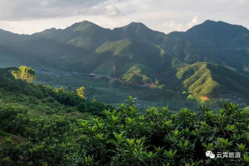 福州乌山北坡旅游攻略
