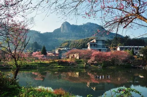 福州旗山公园好玩么吗