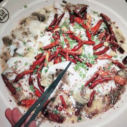 福州东泰禾美食攻略
