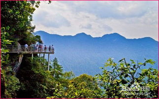 厦门到井冈山旅游攻略