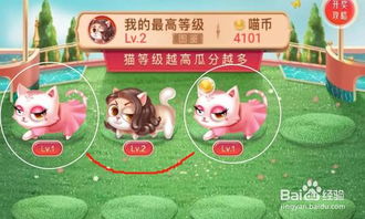 618猫猫游戏攻略