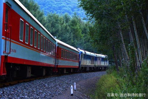 沈阳到厦门火车旅游攻略