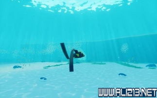 潜水游戏攻略夏天