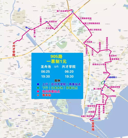 厦门中埔旅游攻略路线