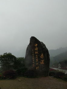 福州太姥山有什么特产买
