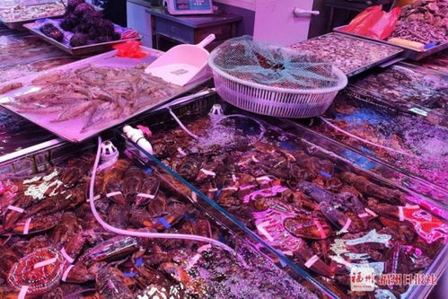 福州人买特产去哪里