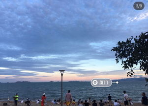 学游泳厦门旅游攻略图片