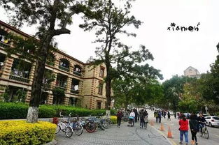 闺蜜旅游攻略福建厦门