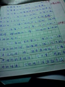 语文小游戏都有哪些作文