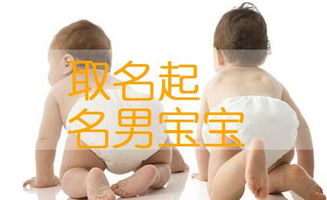 女孩起名焦姓怎么起名