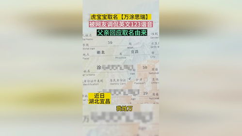 虎宝宝直播起名怎么起名