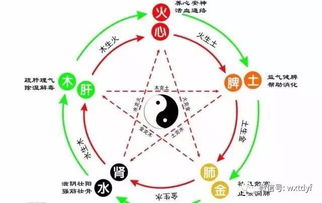 金木水火土五行查询表免费(金木水火土五行对照表金木水火土方位)