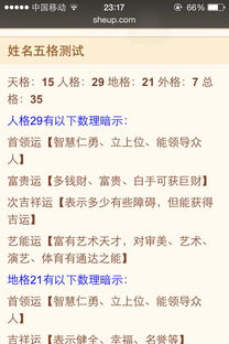 卜易居免费算命姓名(卜易居姓名免费测试打分周易)