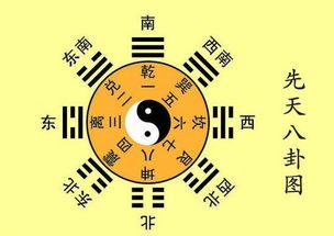 公司名称五行测试打分(公司名称测五行属性)