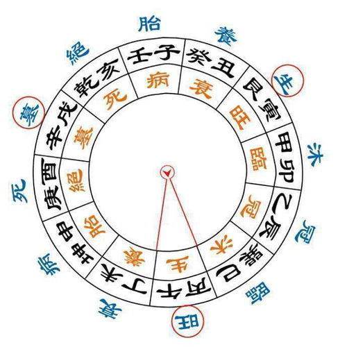 周易算命生辰八字算命(周易算命生辰八字算命解析)
