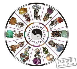 五行查询五行算命(五行查询在线查询)