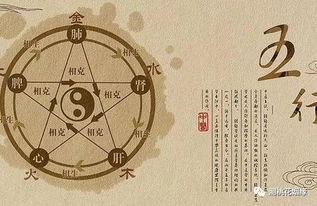 免费排八字四柱(排八字四柱列式怎么排)