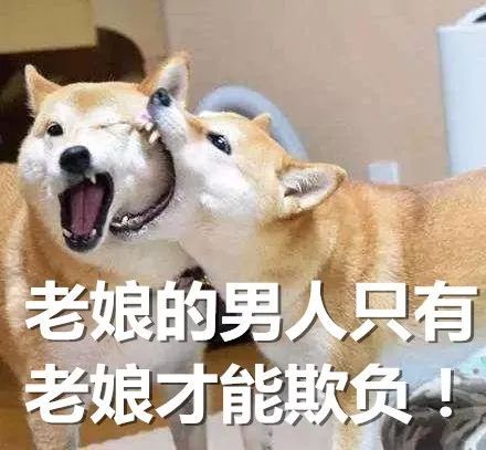 测试恋爱匹配度(测试恋爱匹配度鼠男和狗女)