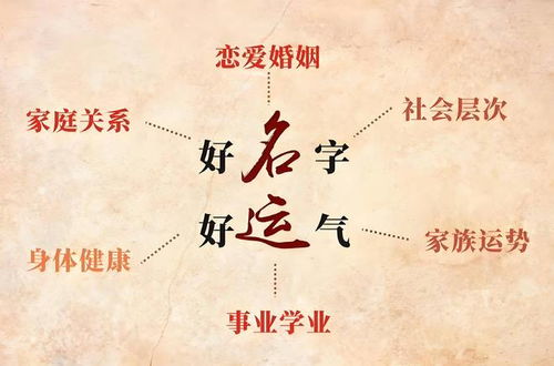 中华周易研究会免费起名网站(中华周易研究会免费起名网站是什么)