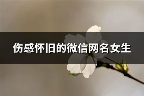 微信网名伤感(微信网名伤感女)