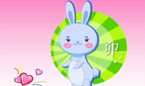 2023年兔宝宝取名(2023年属兔取名)