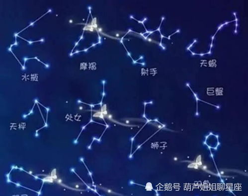 每星座运势_星座运程